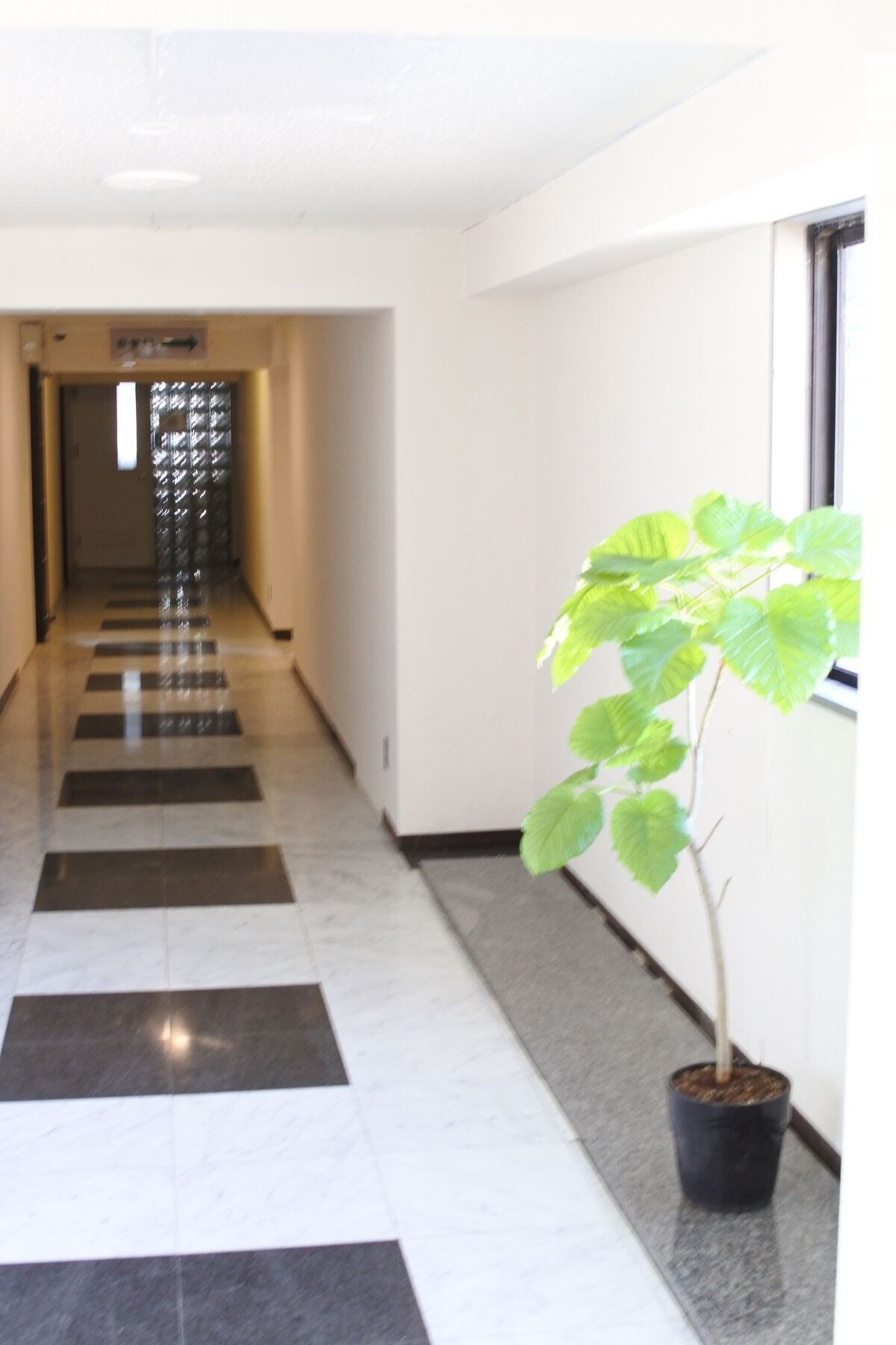 Kagoshima Guest House M104 - Hostel Esterno foto